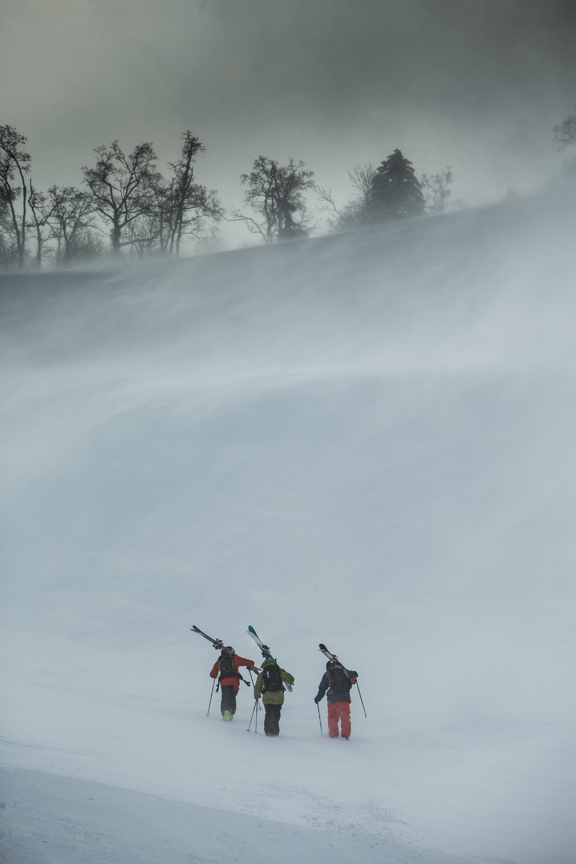 Freeride skier in deep snow